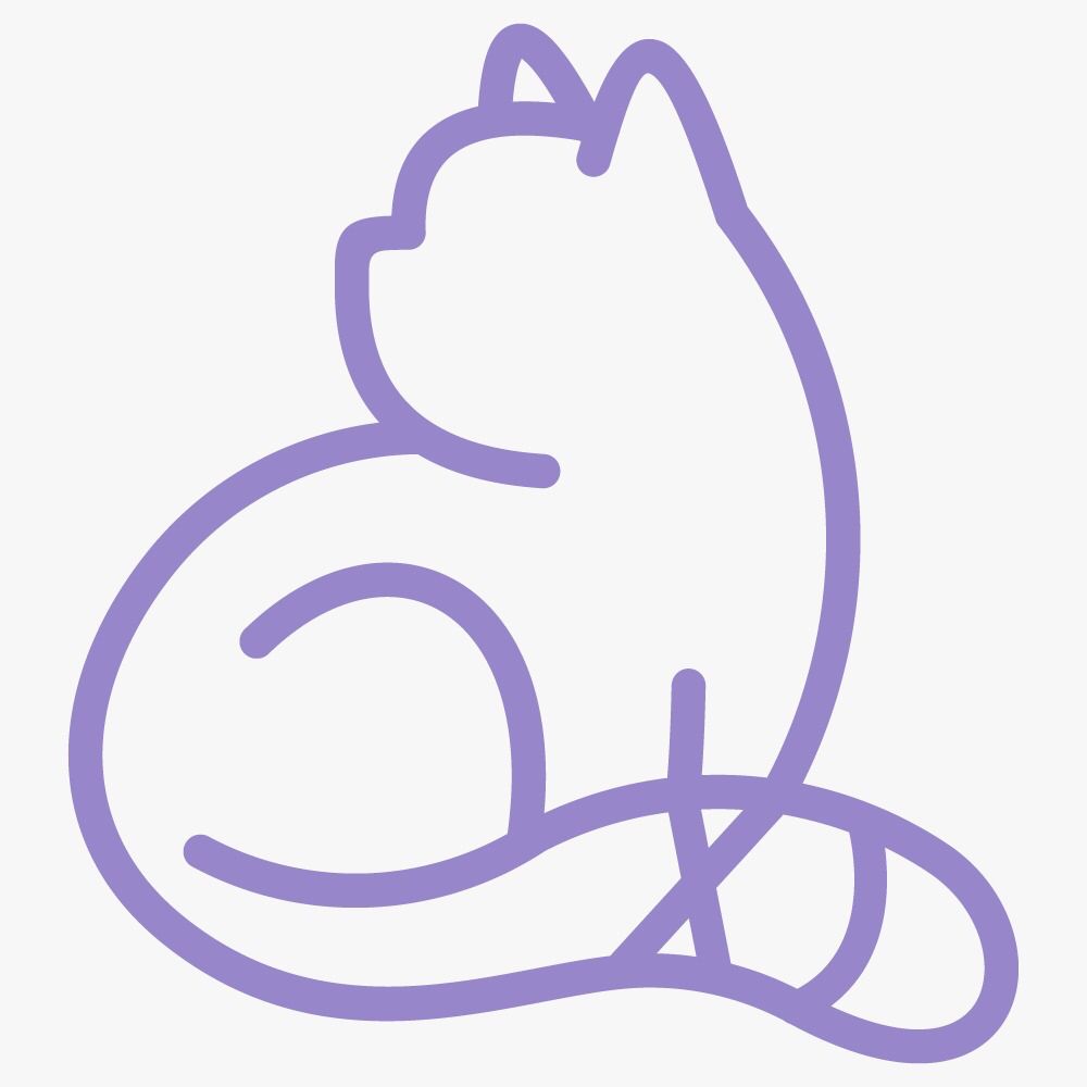 PersianCatDance